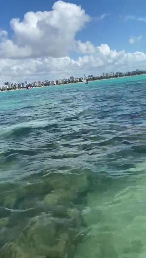 Na Beira Mar De Pajucara: Sea View With Balcony * Maceio (Alagoas)